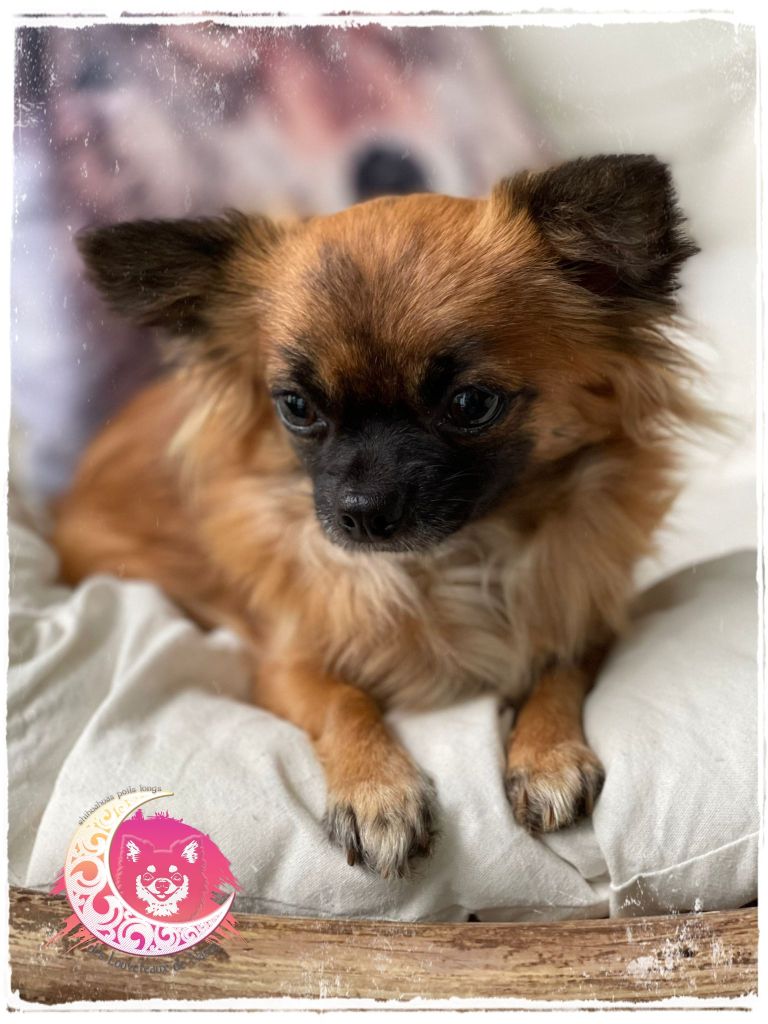 Publication : Du royaume de Matiliane