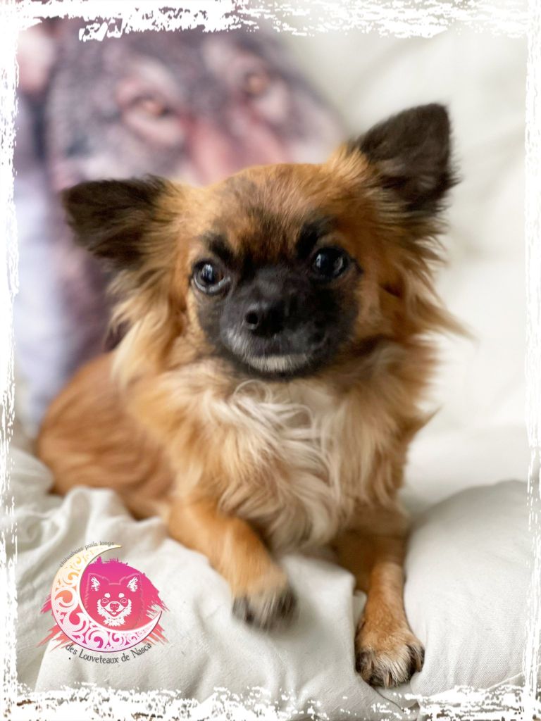 Publication : Du royaume de Matiliane