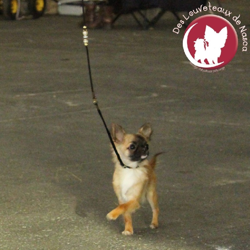 Meetic tyrion d acca larentia - Prometteur