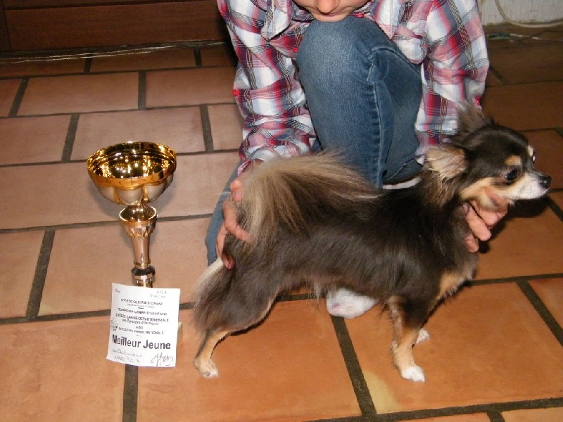 I'm a khaleesi des amours de léos - MEILLEUR JEUNE - classe jeune