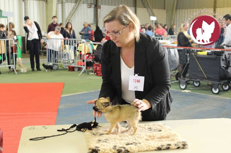 Meetic tyrion d acca larentia - Très Prometteur