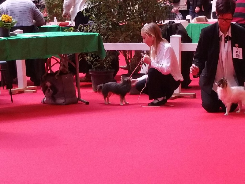 I'm a khaleesi des amours de léos - EXCELLENT