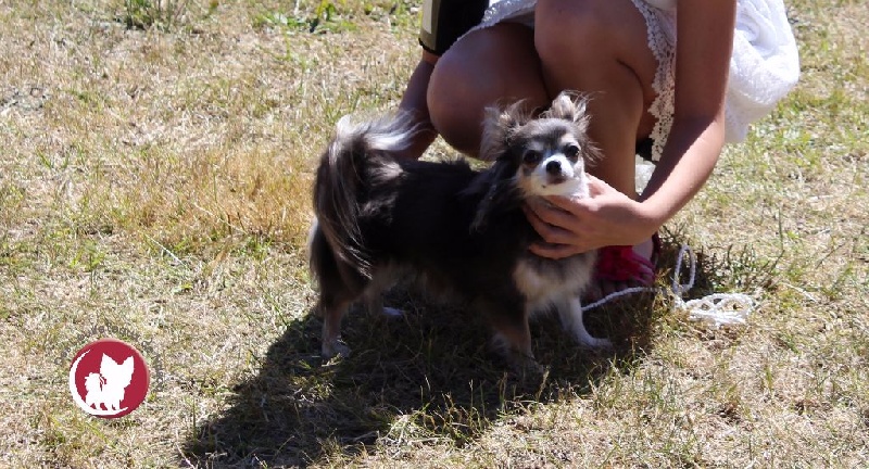 I'm a khaleesi des amours de léos - 2ème Excellent