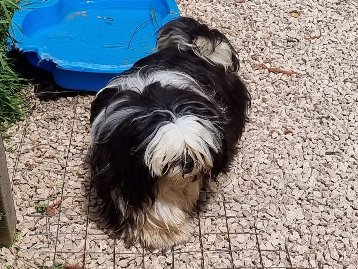 Publication : Du Souvenir De Tootsie