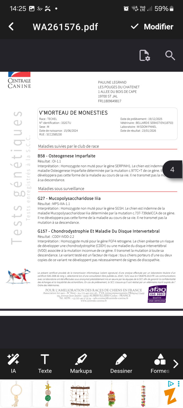 Publication : Du Souvenir De Tootsie