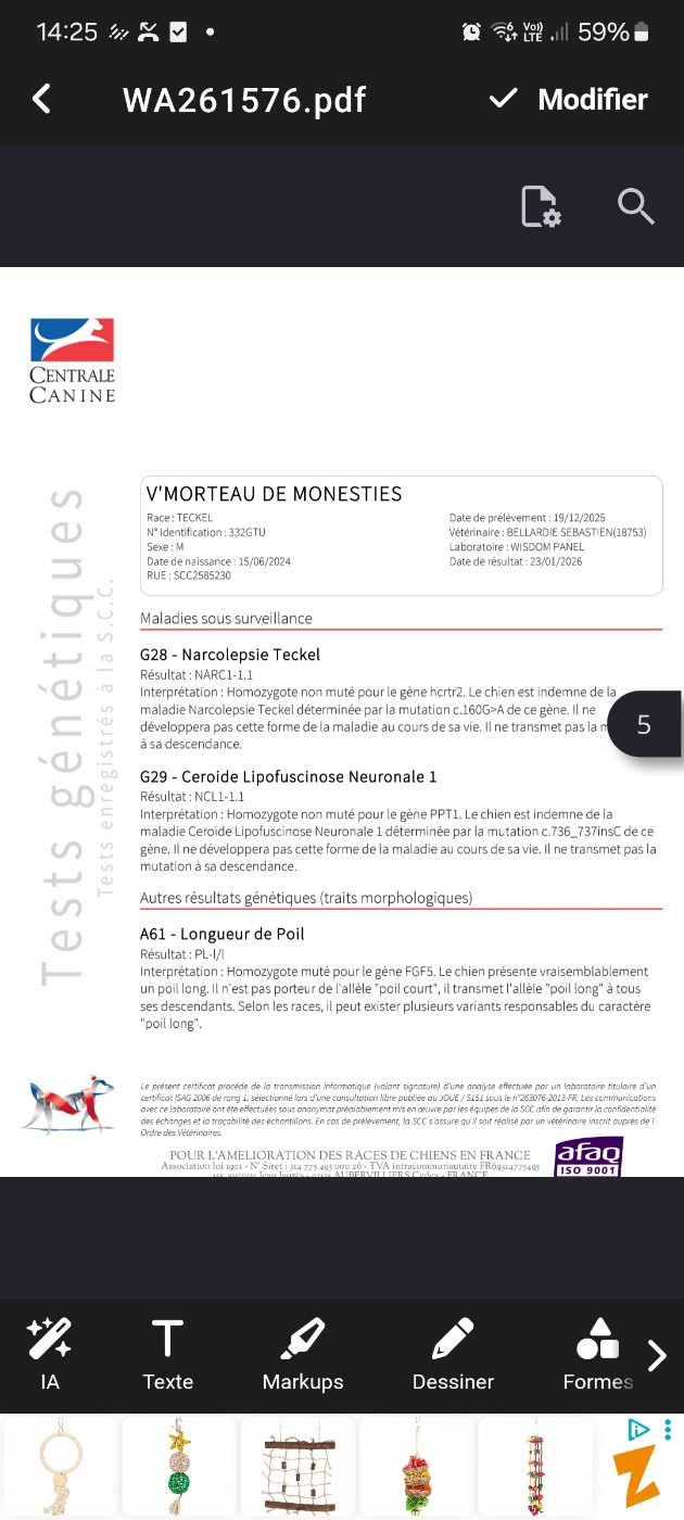 Publication : Du Souvenir De Tootsie