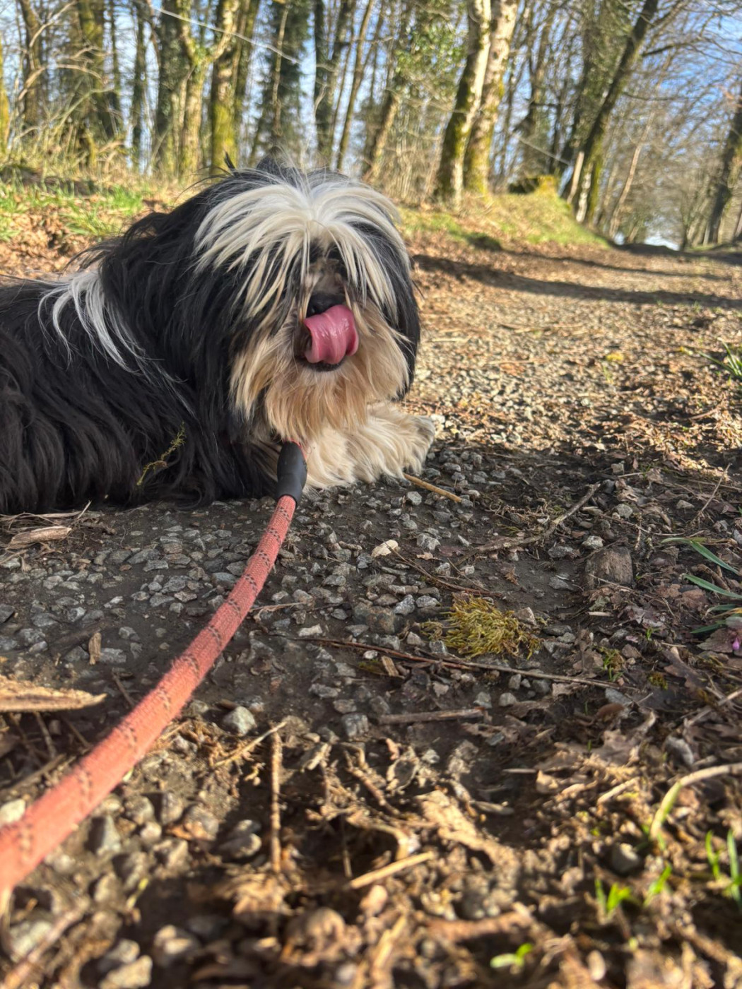 Publication : Du Souvenir De Tootsie