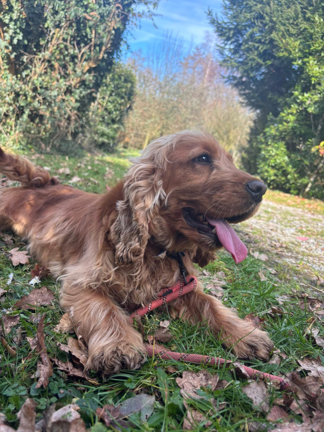 Vanille Du Souvenir De Tootsie