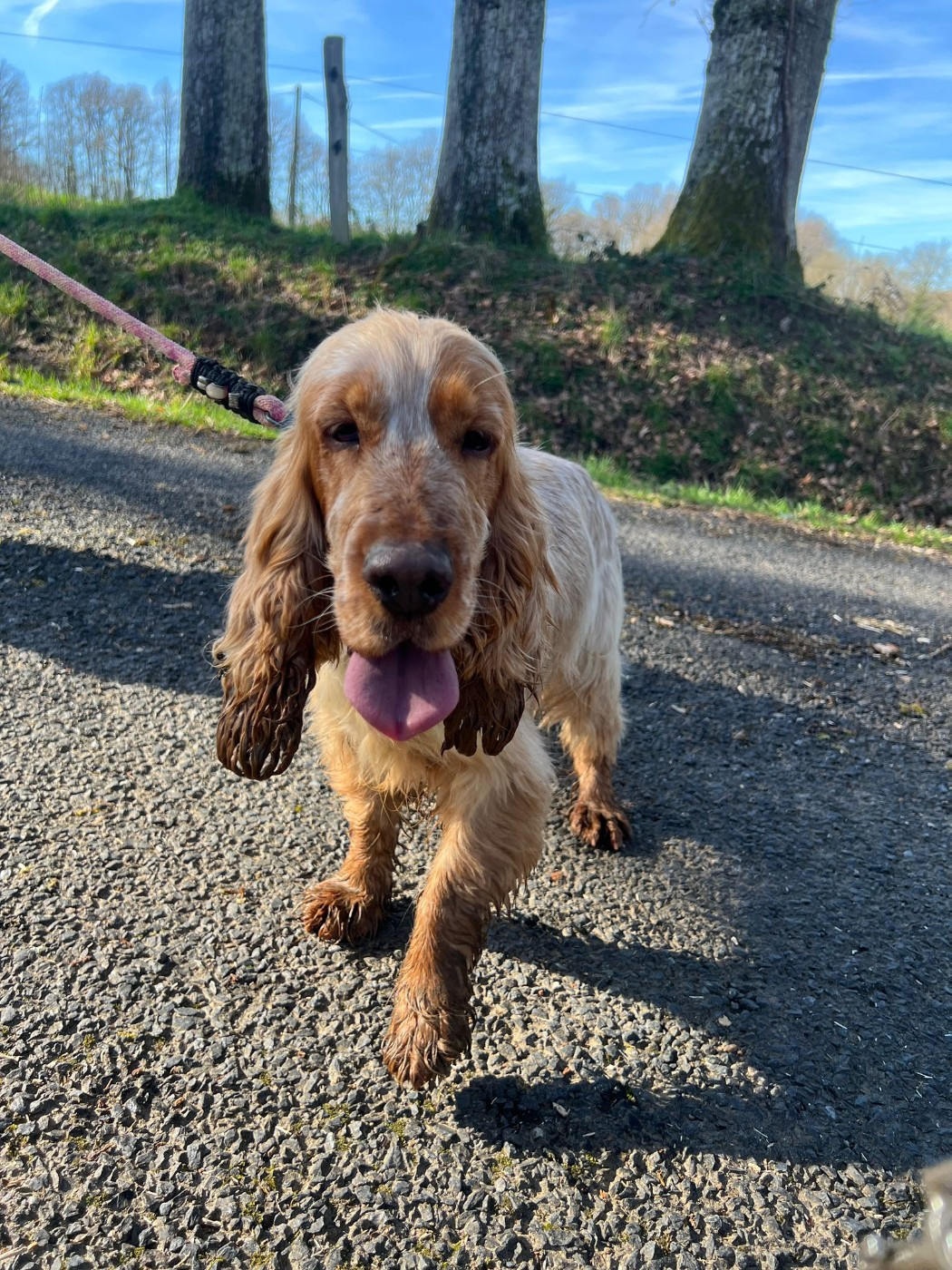 Taïga du Moulin de la Terrasse