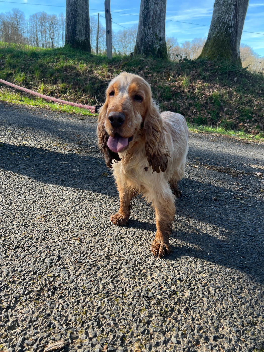 Taïga du Moulin de la Terrasse