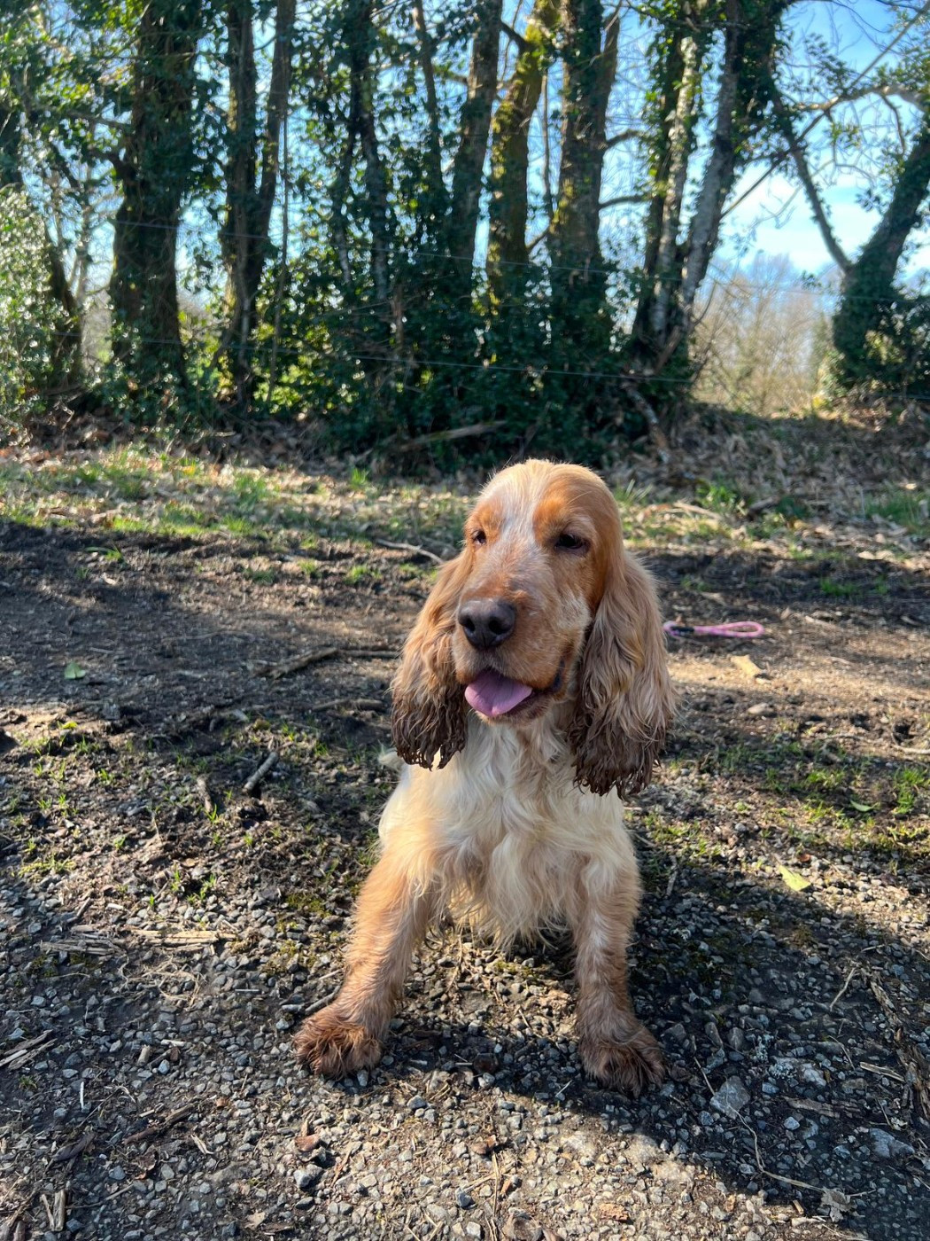 Taïga du Moulin de la Terrasse
