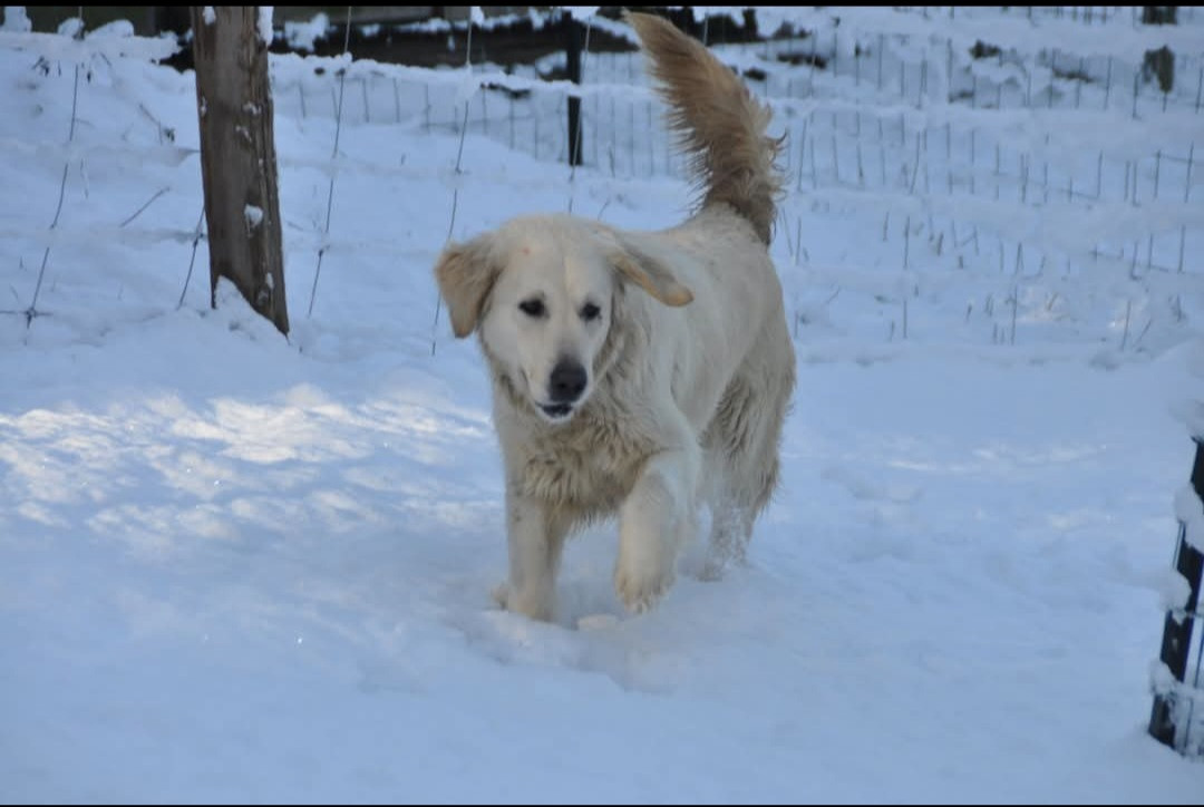 Swing Des Collines De Vaumagnaude