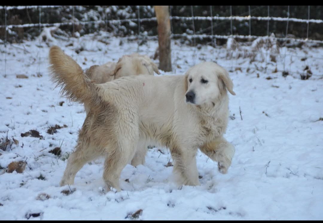 Swing Des Collines De Vaumagnaude