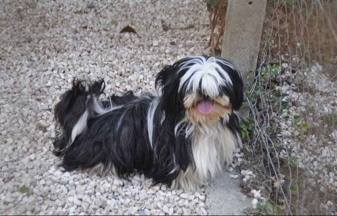 Tahaa dit trudy du Moulin de la Terrasse