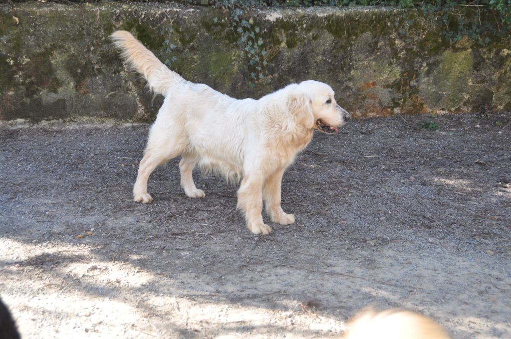 Publication : Du Souvenir De Tootsie