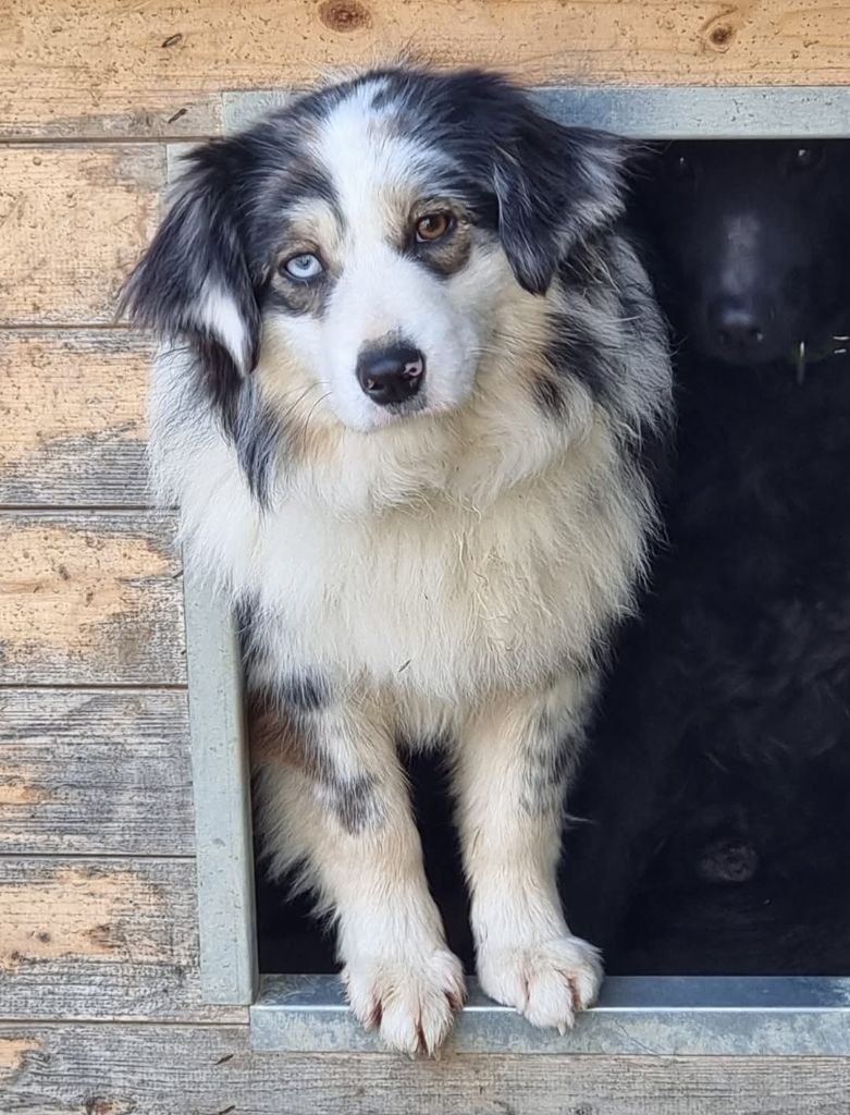 Sakari du Moulin de la Terrasse