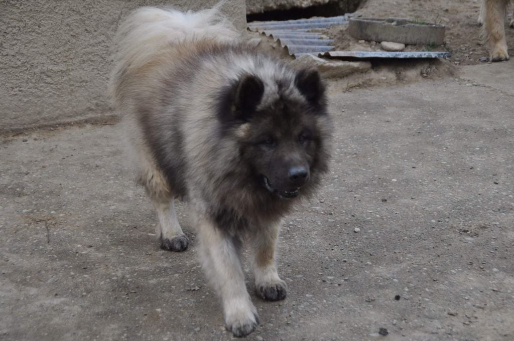 Publication : Du Souvenir De Tootsie