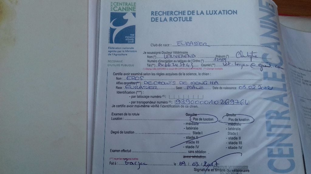 Publication : Du Souvenir De Tootsie