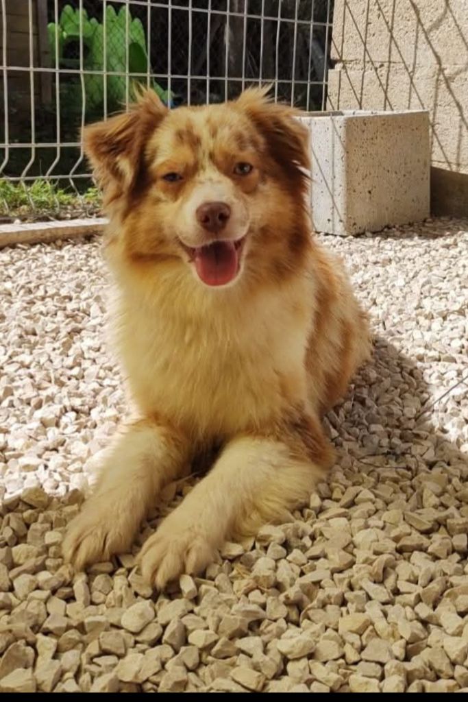 Sky du Moulin de la Terrasse