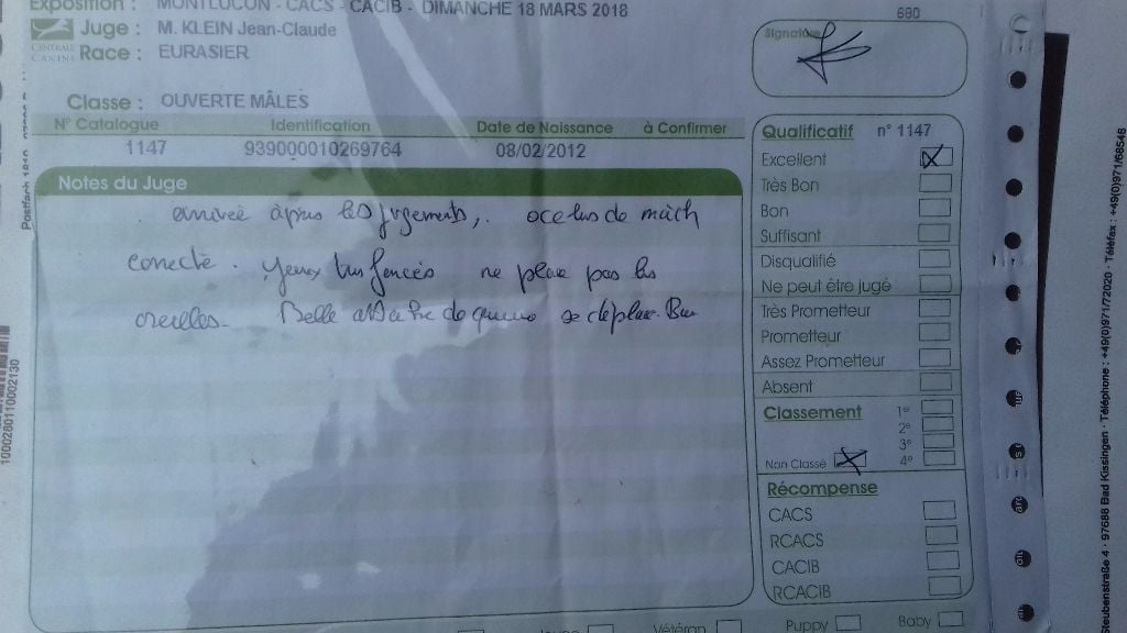 Publication : Du Souvenir De Tootsie