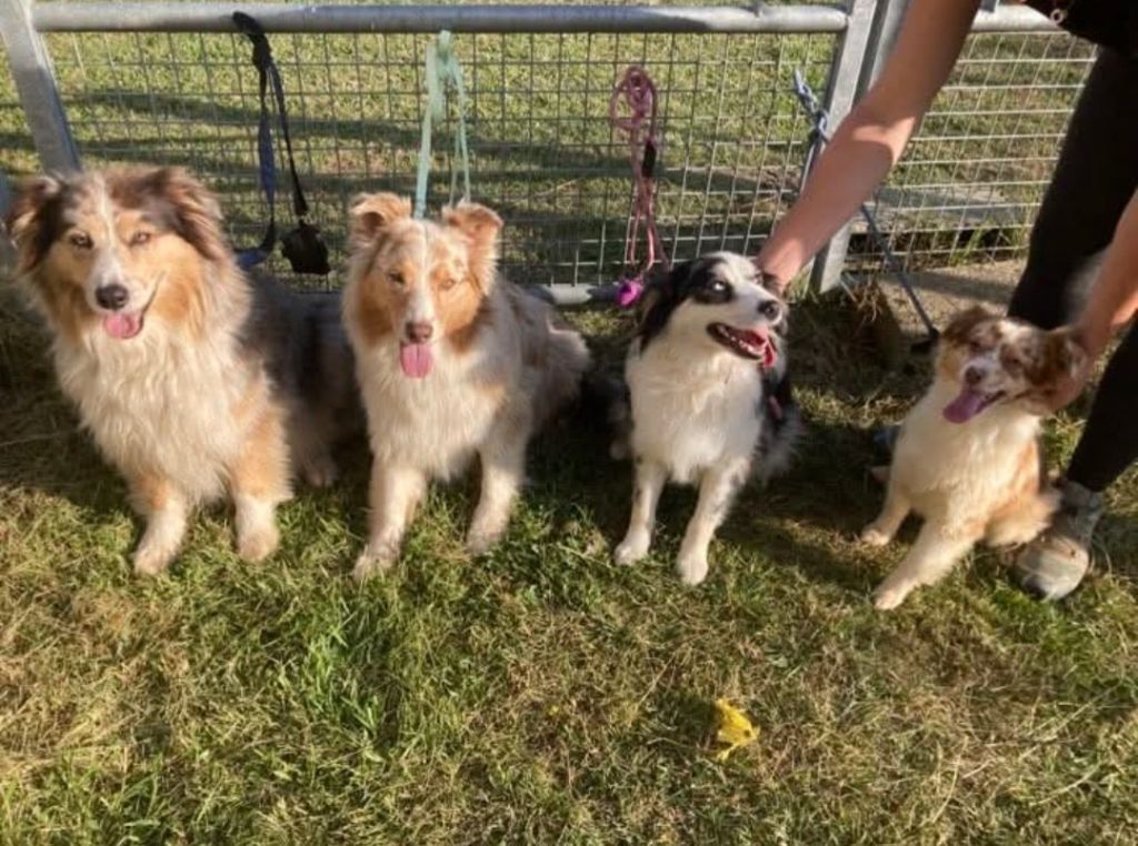 Sky du Moulin de la Terrasse