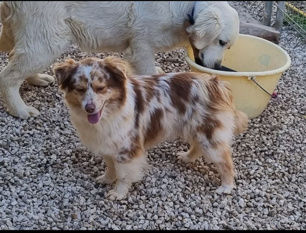 Sky du Moulin de la Terrasse