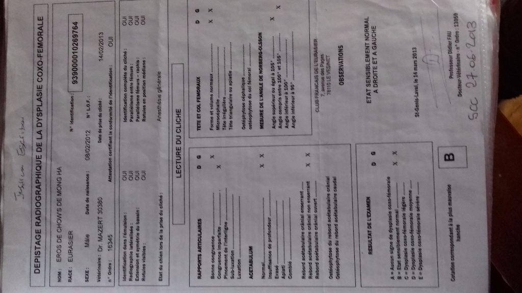 Publication : Du Souvenir De Tootsie