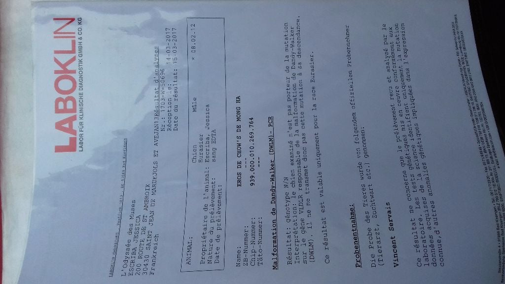 Publication : Du Souvenir De Tootsie