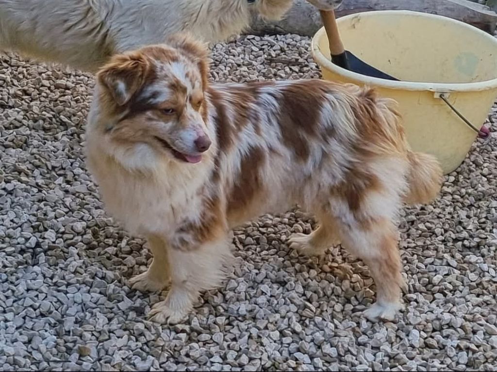 Sky du Moulin de la Terrasse