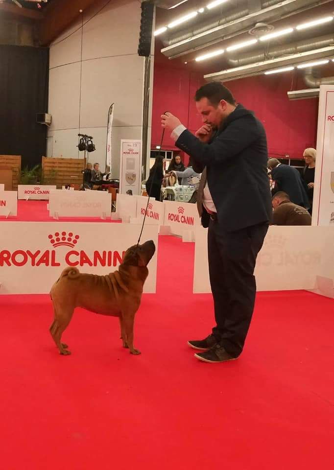 Jazzy' Pei Nausicaa - 2e Exc