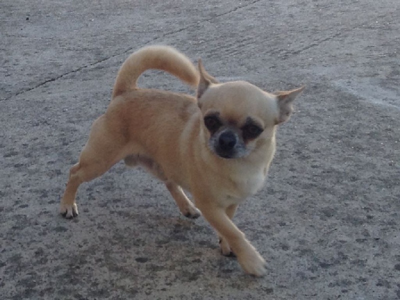 Auteur : .sandrine jouvelet