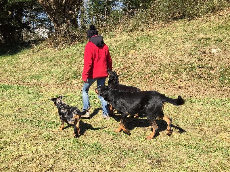 Auteur : Deborah Lafaye