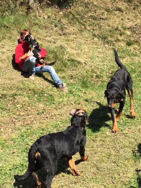 Auteur : Deborah Lafaye