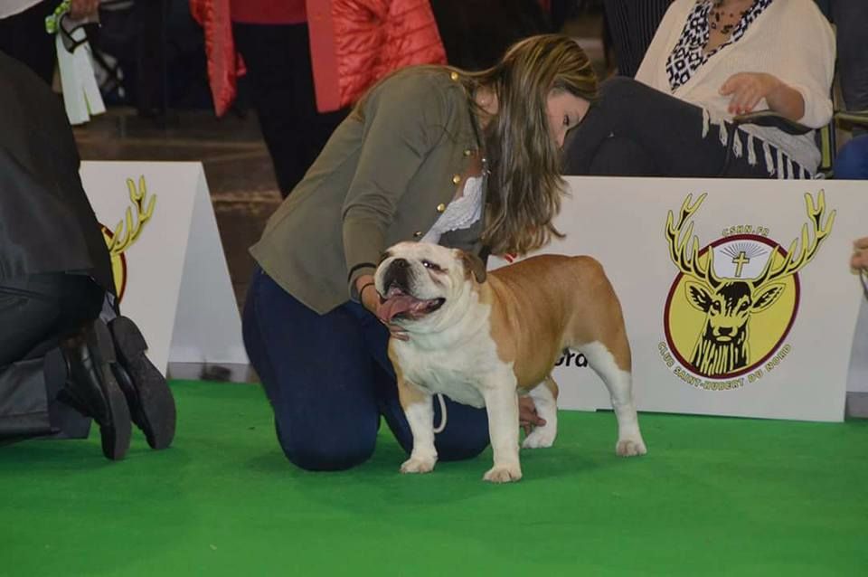 Heals My Heart Lovely pearl - 3 ème Excellent Classe ouverte Femelle