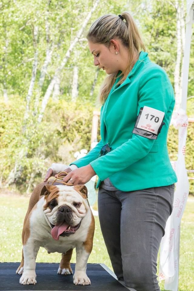 Heals My Heart Lady sansa stark - Très Bon + TAN