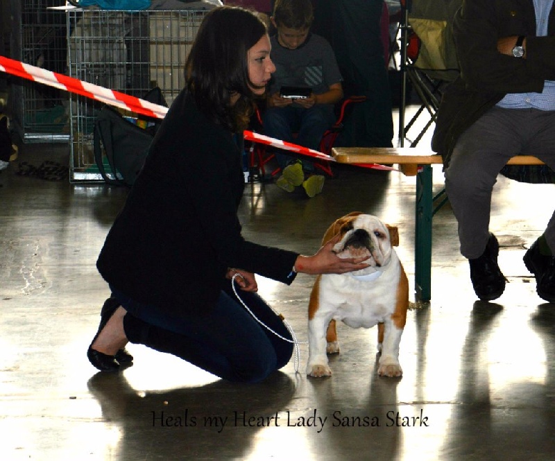 Heals My Heart Lady sansa stark - 2 ème Prometteur en Classe Puppy femelle