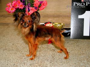 Publication : Poupee Russe