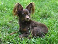 Publication : Joeberger