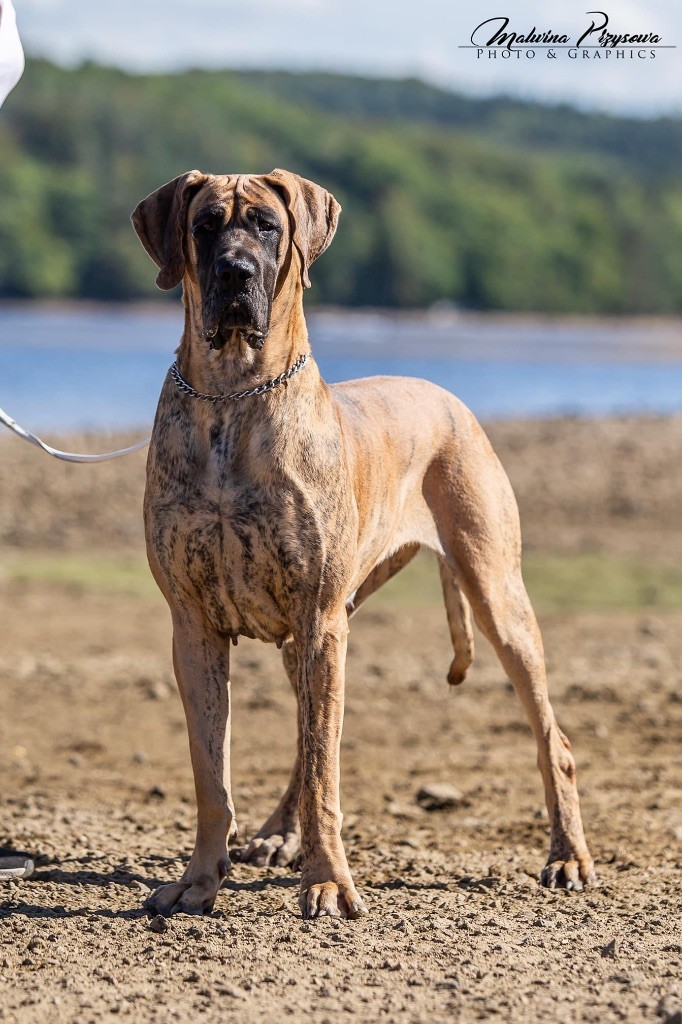 Publication : Au Royaume De Leyla