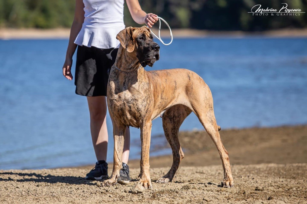 Publication : Au Royaume De Leyla