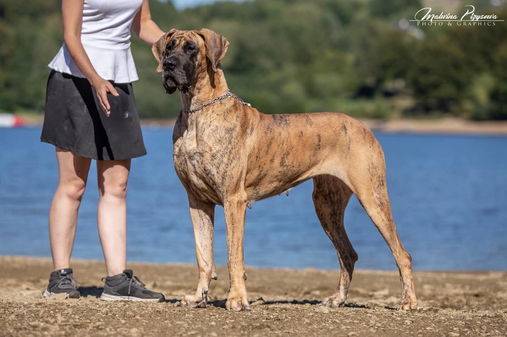 Publication : Au Royaume De Leyla