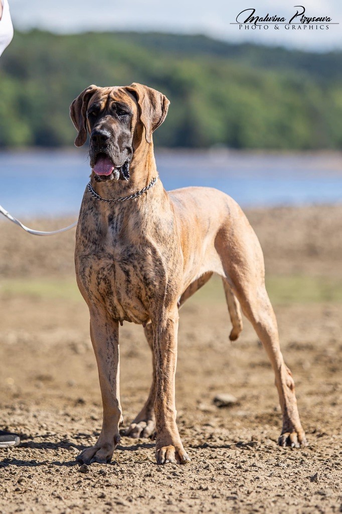 Publication : Au Royaume De Leyla