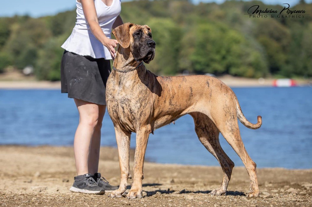 Publication : Au Royaume De Leyla