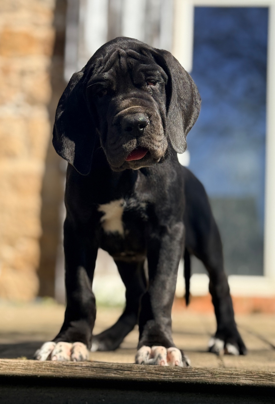 Benabar Collier rouge