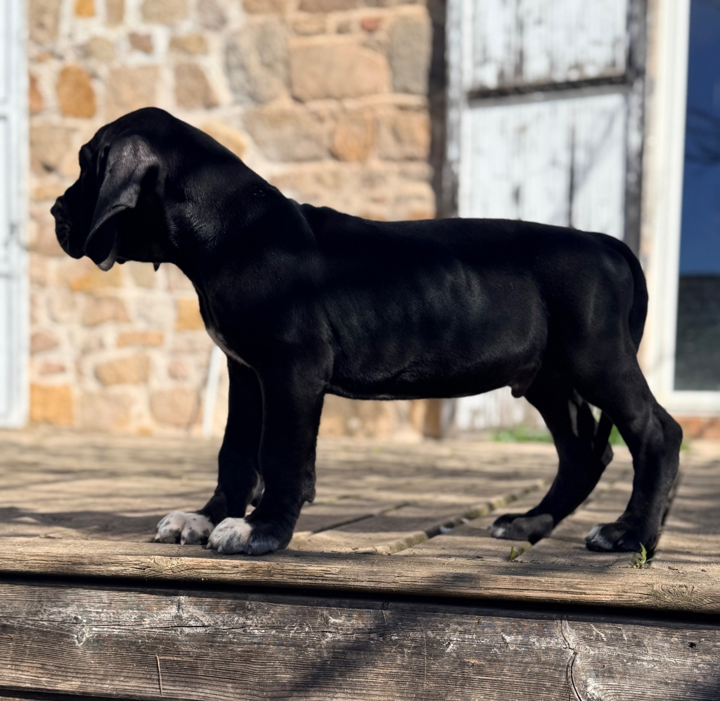 Benabar Collier rouge