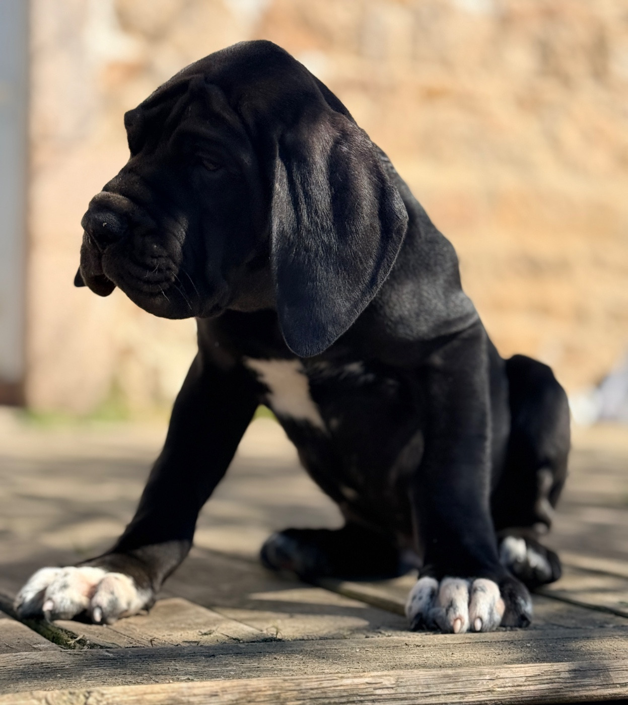Benabar Collier rouge