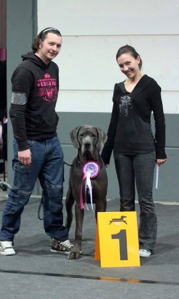 CH. Brunhilda vom nassauer land - JEUNE CHAMPIONNE DU LUXEMBOURG- BOS- MEILLEUR FEMELLE