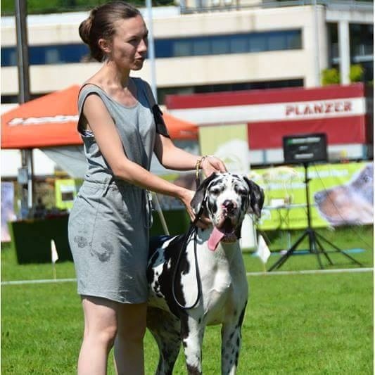 Jolie coeur Au Royaume De Leyla - 2EME TRES BON SUR 4