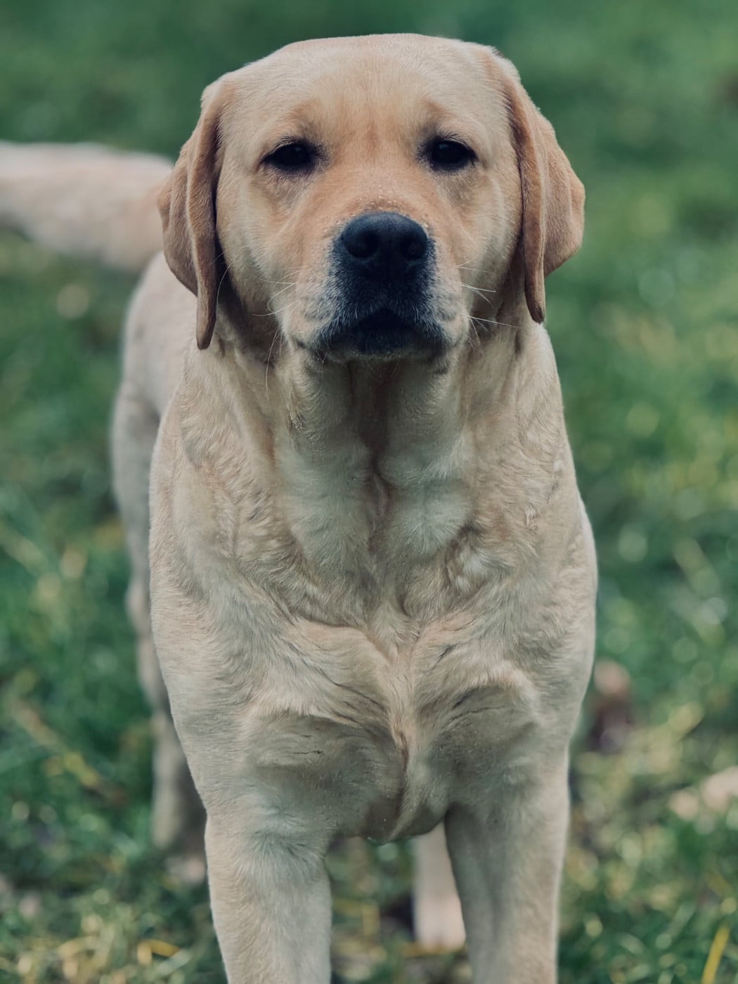 Publication : Des Yeux Doux