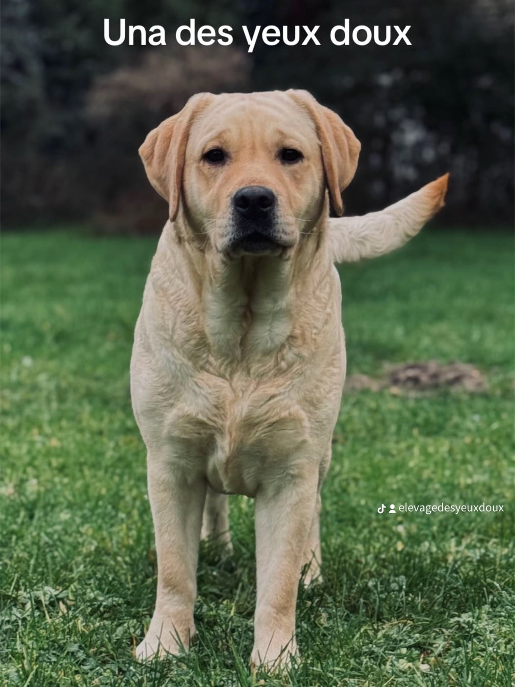 Publication : Des Yeux Doux